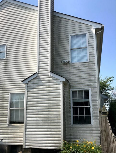 Before image